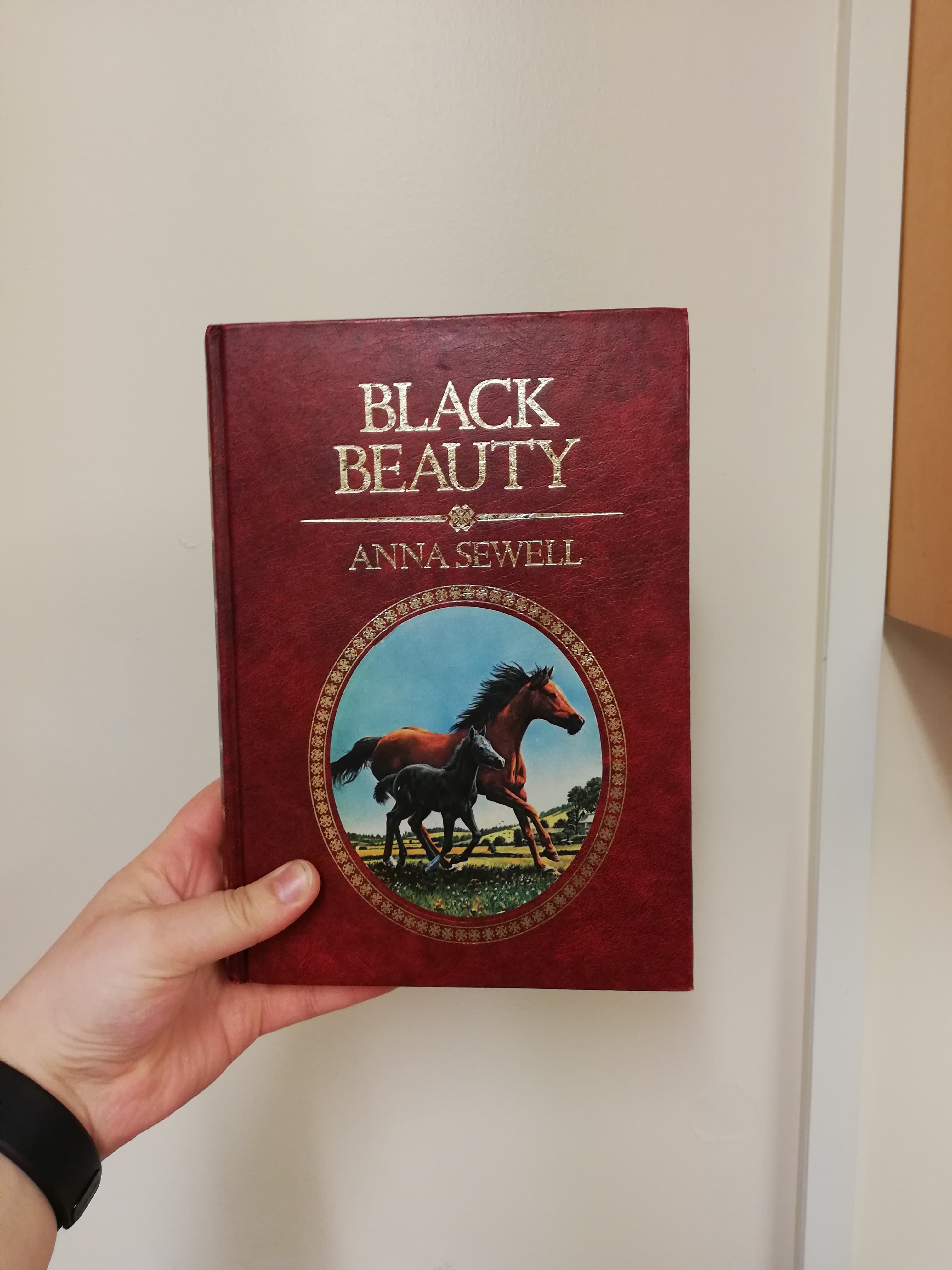 52486623_249540845925307_7243924646393806848_n