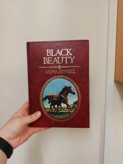 52486623_249540845925307_7243924646393806848_n