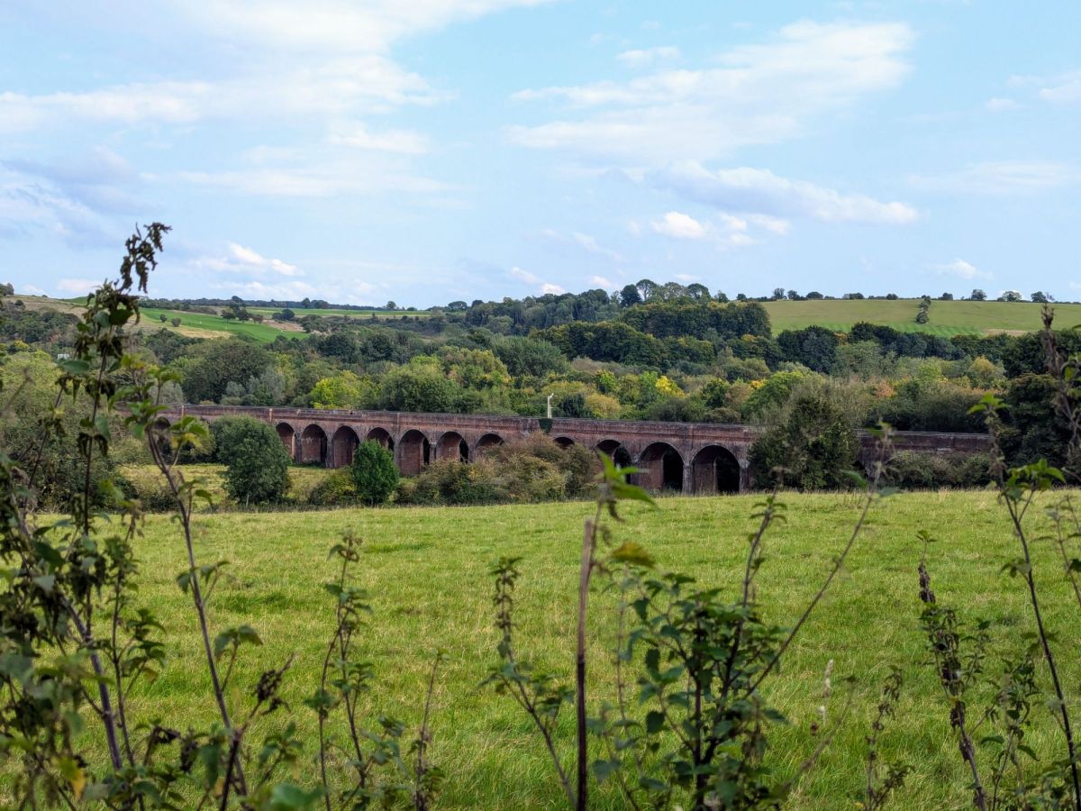 Finding happiness in old passions and some introspective&nbsp;yapping